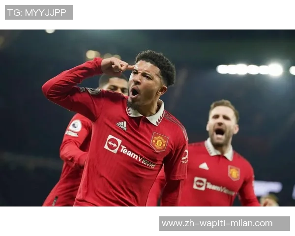 曼联已决议必买安德森，夏窗需8000万！戈麦斯赞同冬天加盟却受阻